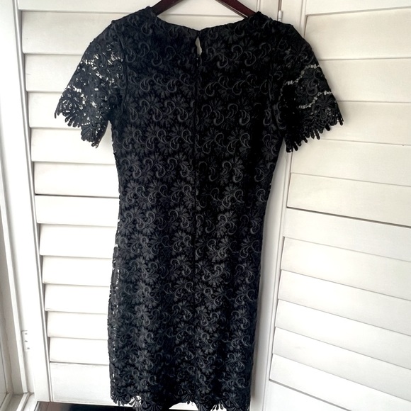 Lace Dress Zara Dress 2017 Zara Collection Dresses Zara Collection